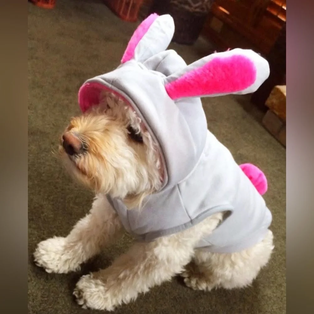 Doggie Bunny Costume, M